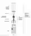 Fig. 02 - Medication and identification information transfer apparatus