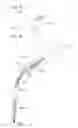 Fig. 07 - SURGICAL INSTRUMENT
