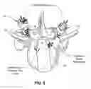 Fig. 05 - BONE FIXATION DEVICE AND METHOD OF VALIDATING ITS PROPER PLACEMENT