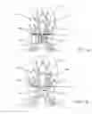 Fig. 02 - Modulation of trigeminal reflex strength