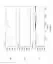 Fig. 09 - Maximum power point tracking for a power generator