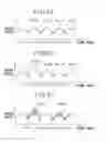 Fig. 06 - Control system of internal combustion engine