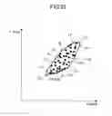 Fig. 33 - Identification method of data point distribution area on coordinate plane and recording medium