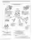 Fig. 02 - System for Developing Direct Relationships Between Service Providers and Consumers for the Healthcare and Other Privacy and Security sensitive Industries