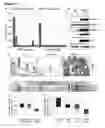 Fig. 02 - Signatures and PCDeterminants Associated with Prostate Cancer and Methods of Use Thereof