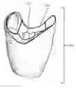 Fig. 01 - Self-customized, moldable, weight-distributing insert for ballet pointe shoes