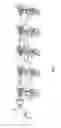 Fig. 02 - Bar bundler