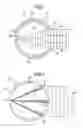 Fig. 02 - Acoustic markers