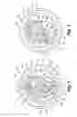 Fig. 02 - Beverage container lid with mouth opening and separate push in vent