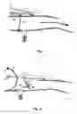 Fig. 02 - Spring for a cascade-type thrust reverser shutter for an aircraft jet engine