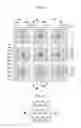Fig. 06 - Semiconductor light-emitting device, light-emitting module, and illumination device