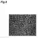 Fig. 09 - Semiconductor photodetection element