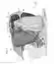 Fig. 02 - Occupant restraint device