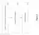 Fig. 03 - White space management mechanism