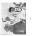 Fig. 08 - Emissive Image Substrate Marking, Articles Marked With An Emissive Image, and Authentication Methods Involving The Same