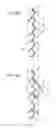 Fig. 09 - Optical body, optical body manufacturing method, solar shading member, window member, interior member, and fitting
