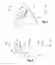Fig. 02 - Diffractive head-up display device provided with a device for adjusting the position of the virtual image