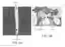 Fig. 06 - Image-based patient profiles