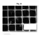Fig. 07 - Process for the preparation of coated monoliths