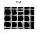 Fig. 09 - Process for the preparation of coated monoliths