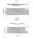 Fig. 09 - Anti-alpha V immunoliposome compositions, methods and uses