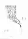 Fig. 02 - METHODS FOR TREATING MULTIPLE SCLEROSIS USING TETRACYCLIC PYRAZINOINDOLES