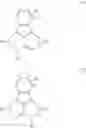 Fig. 08 - METHODS FOR TREATING MULTIPLE SCLEROSIS USING TETRACYCLIC PYRAZINOINDOLES