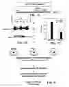 Fig. 08 - Stress-responsive induction of a therapeutic agent and methods of use