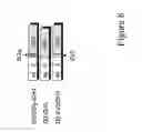 Fig. 09 - Multimeric constructs