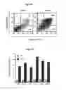Fig. 02 - USE OF ALLOGENEIC CELL LINES TO LOAD ANTIGEN-PRESENTING CELLS TO ELICIT OR ELIMINATE IMMUNE RESPONSES