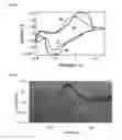 Fig. 06 - Method of producing structural member having prussian blue-type metal complex nanoparticles, structural member obtained by the method, substrate, electrochromic device, rectifying device, and photo responding device, using the structural member