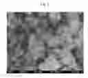 Fig. 02 - Fine metal carbide particles and methods of manufacturing the same