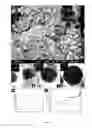 Fig. 02 - MESOPOROUS NANOPARTICLES