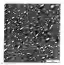 Fig. 01 - Elastic particle foam based on polyolefin/styrene polymer mixtures