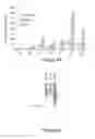 Fig. 08 - Methods, Compositions and Kits for High Throughput Kinase Activity Screening Using Mass Spectrometry and Stable Isotopes