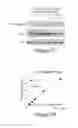 Fig. 15 - Methods, Compositions and Kits for High Throughput Kinase Activity Screening Using Mass Spectrometry and Stable Isotopes