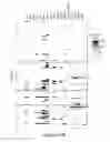 Fig. 26 - Methods, Compositions and Kits for High Throughput Kinase Activity Screening Using Mass Spectrometry and Stable Isotopes