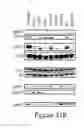 Fig. 40 - Methods, Compositions and Kits for High Throughput Kinase Activity Screening Using Mass Spectrometry and Stable Isotopes