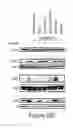 Fig. 46 - Methods, Compositions and Kits for High Throughput Kinase Activity Screening Using Mass Spectrometry and Stable Isotopes