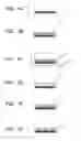 Fig. 02 - Method for culturing animal hepatocyte