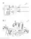 Fig. 02 - Model based channel state information feedback
