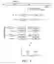 Fig. 09 - MASS SPECTROMETRIC METHODS FOR DETECTING MUTATIONS IN A TARGET NUCLEIC ACID