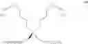 Fig. 131 - GEMINI SURFACTANTS