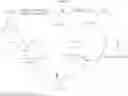 Fig. 136 - Prodrugs containing novel bio-cleavable linkers