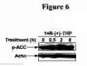 Fig. 07 - Compounds and compositions for reducing lipid levels
