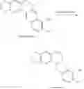 Fig. 28 - Compounds and compositions for reducing lipid levels