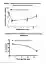 Fig. 02 - p38 MAP kinase inhibitors