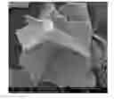 Fig. 01 - Interference pigments on the basis of perlite flakes