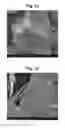 Fig. 02 - Interference pigments on the basis of perlite flakes