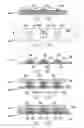 Fig. 09 - Biocompatible Bonding Method